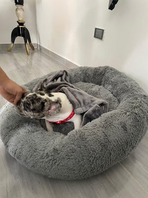 Gray helmet for bikers